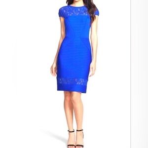Tadashi Shoji Cobalt Blue Bodycon dress with Lace Bodice
